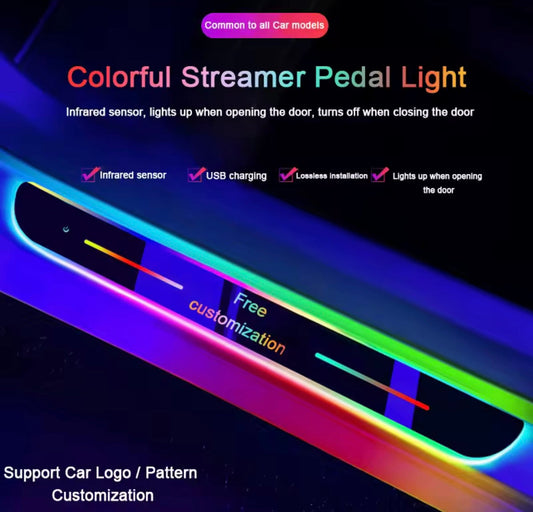 Custom LED Door Sill Protectors For All Car Makes & Models