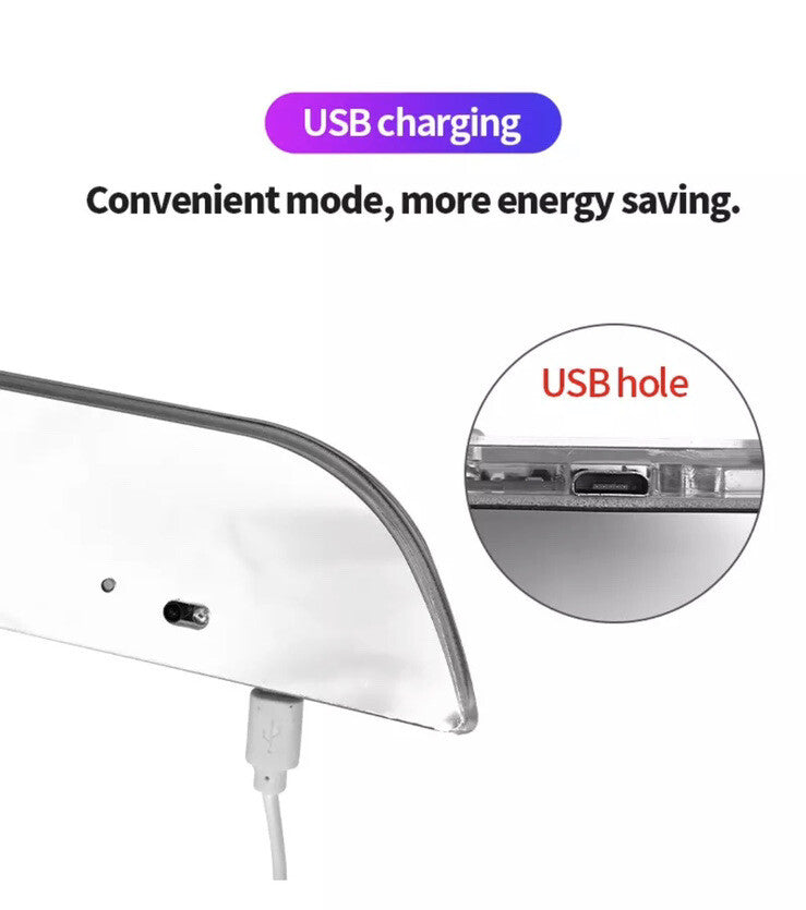 Honda Civic Type R LED Colour Change Door Sill Protector Strips USB Wireless RGB